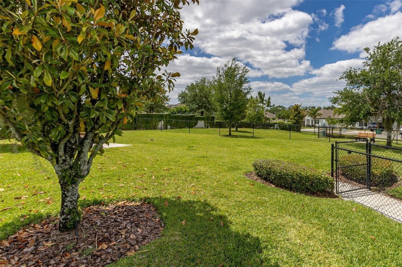 15783 Tangerine Dream Court, Winter Garden, FL 34787 Photo