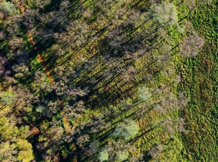 4135 Raphael Dr, El Dorado Hills, CA 95762 Photo