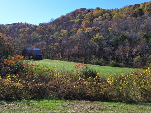 0 Hollis Creek Rd S, Woodbury, TN 37190