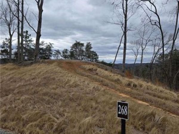 0 Canoe Way, Talking Rock, GA 30175