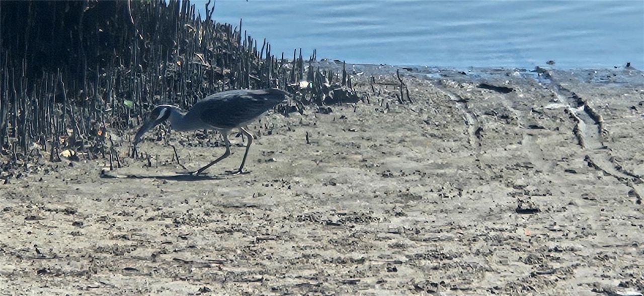 6328 Georgia Avenue, Bradenton, FL 34207 Photo