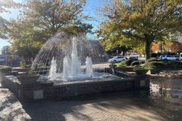 2002 Greene Street photo 4