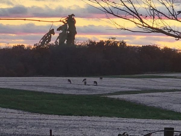 _____ 537Th Street, Russell, IA 50238