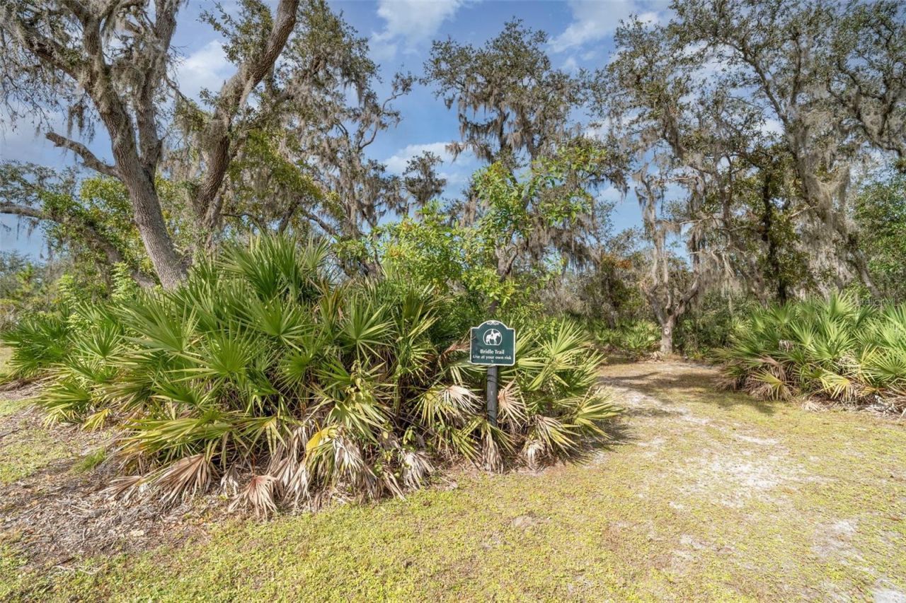 30215 Saddlebag Trail, Myakka City, FL 34251 Photo