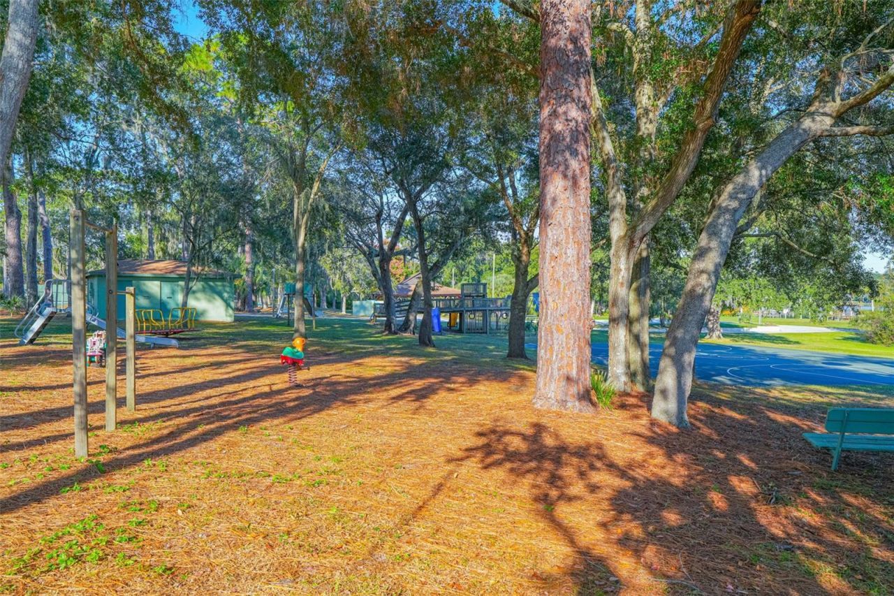 354 Prima Vera Cove, Altamonte Springs, FL 32714 Photo