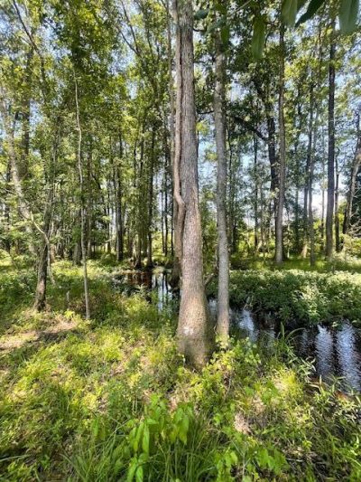 648 Bc Estates Lane Photo 4