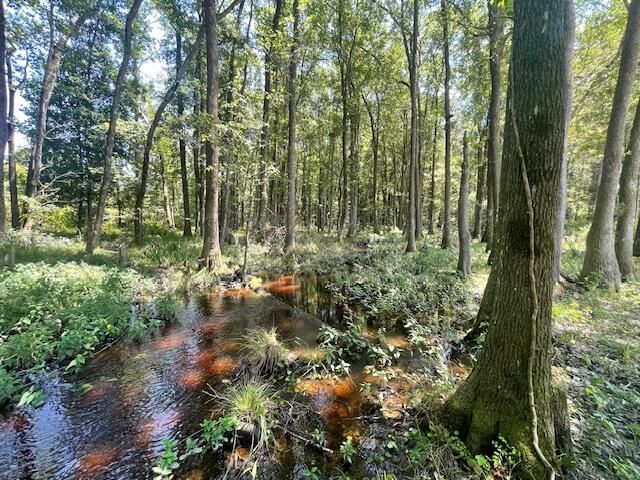 648 Bc Estates Lane Photo 5