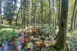 648 Bc Estates Lane photo 4