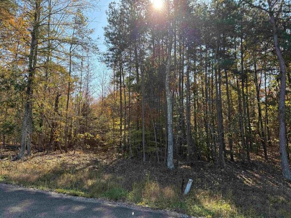 3 WOODS CLIFF LN, Savannah, TN 38372