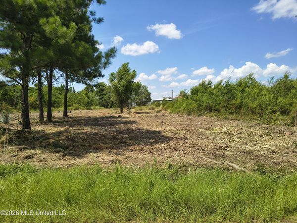 Nhn Bayou View Drive, Bay Saint Louis, MS 39520