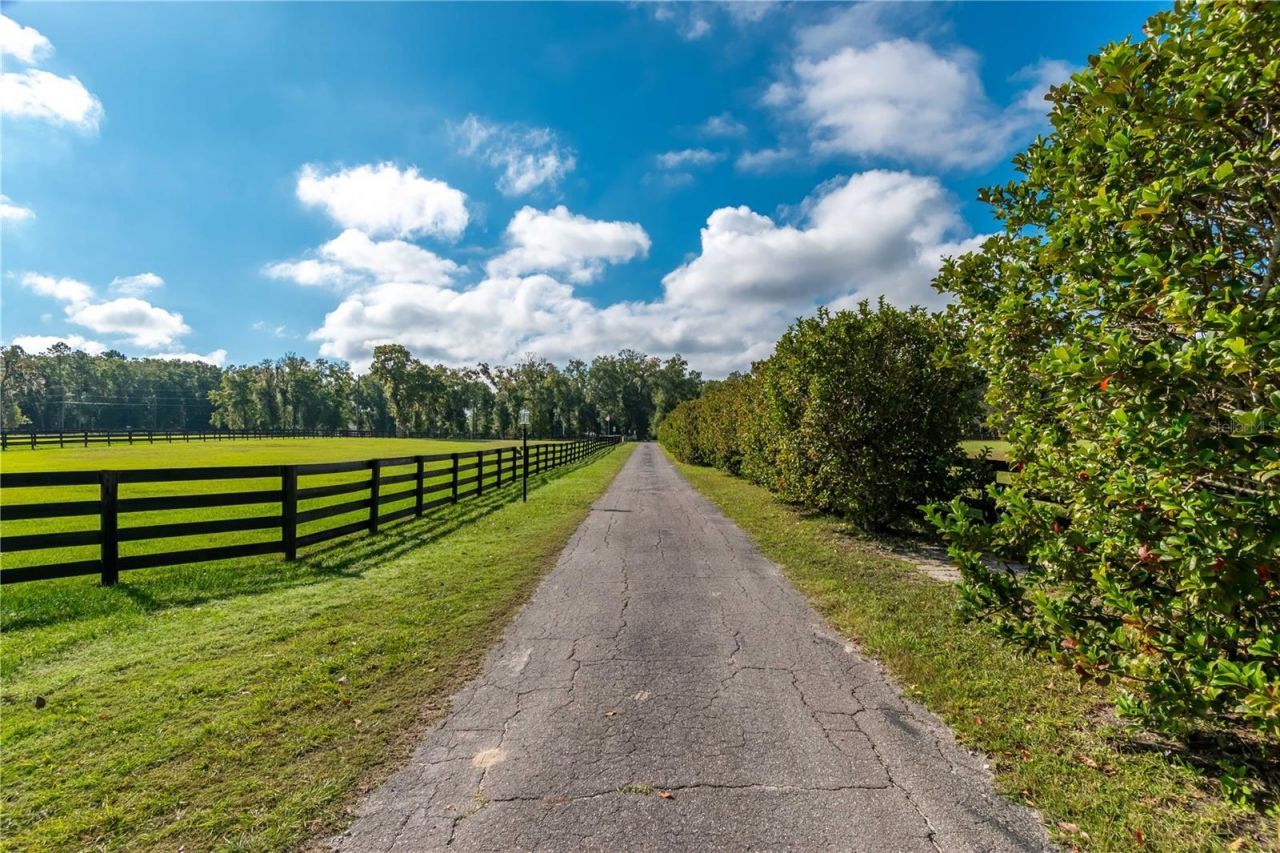 11851 SW 38th Street, Ocala, FL 34481 Photo