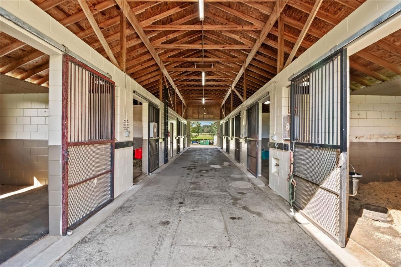 11851 SW 38th Street, Ocala, FL 34481 Photo