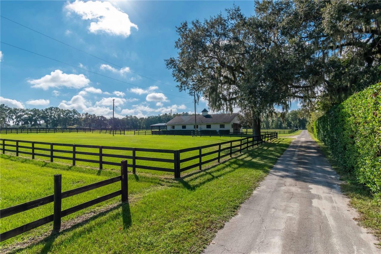 11851 SW 38th Street, Ocala, FL 34481 Photo