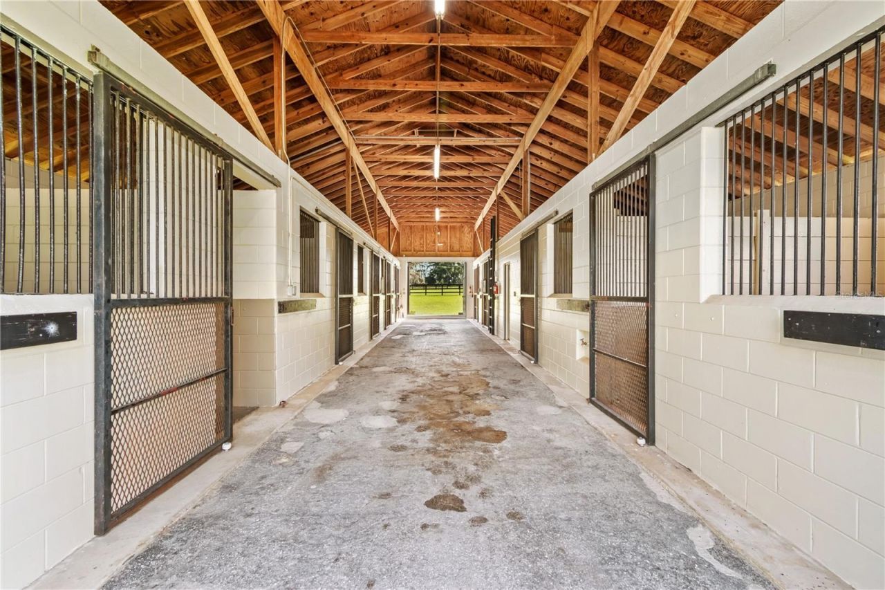 11851 SW 38th Street, Ocala, FL 34481 Photo