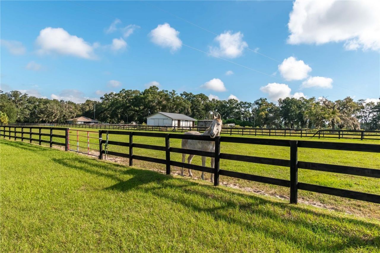 11851 SW 38th Street, Ocala, FL 34481 Photo