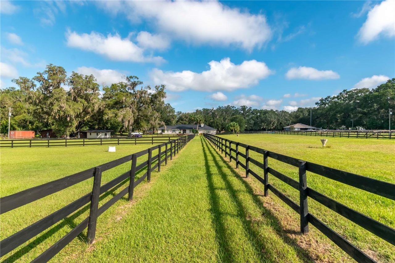 11851 SW 38th Street, Ocala, FL 34481 Photo