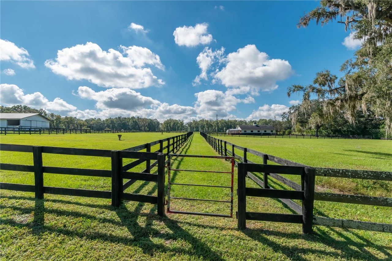 11851 SW 38th Street, Ocala, FL 34481 Photo