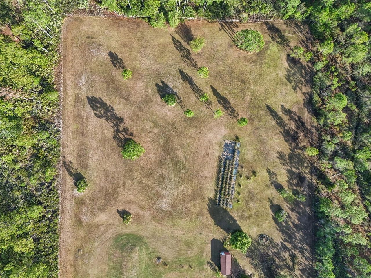 6031 Bancroft Boulevard, Orlando, FL 32833 Photo