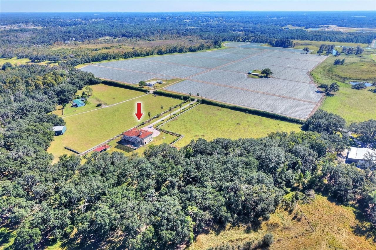 4215 S B Merrion Road, Lakeland, FL 33810 Photo