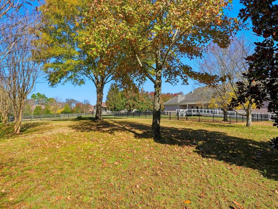Property Image 59