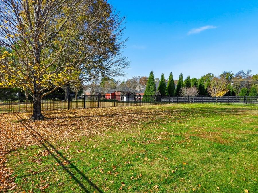 Property Image 61