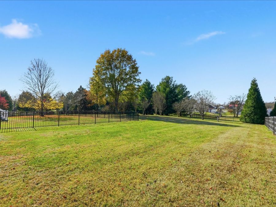 Property Image 63