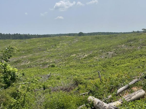 Co Rd 143, Carrollton, MS 38917