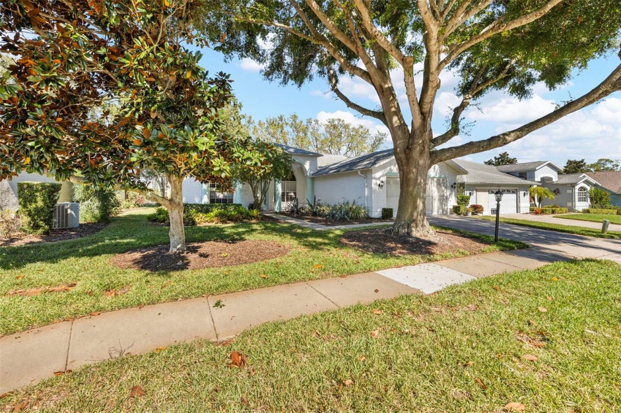 11231 Sun Tree Road, Hudson, FL 34667 Photo