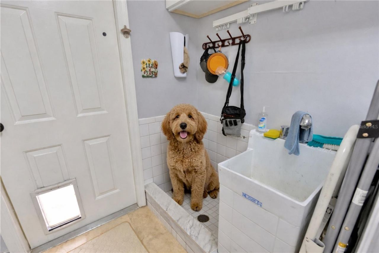 7201 Hodgewood Court, Tampa, FL 33614 Photo