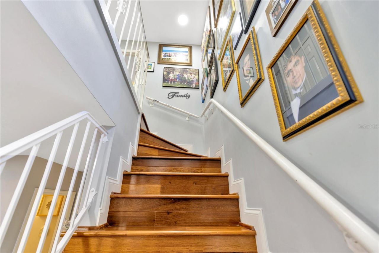 7201 Hodgewood Court, Tampa, FL 33614 Photo