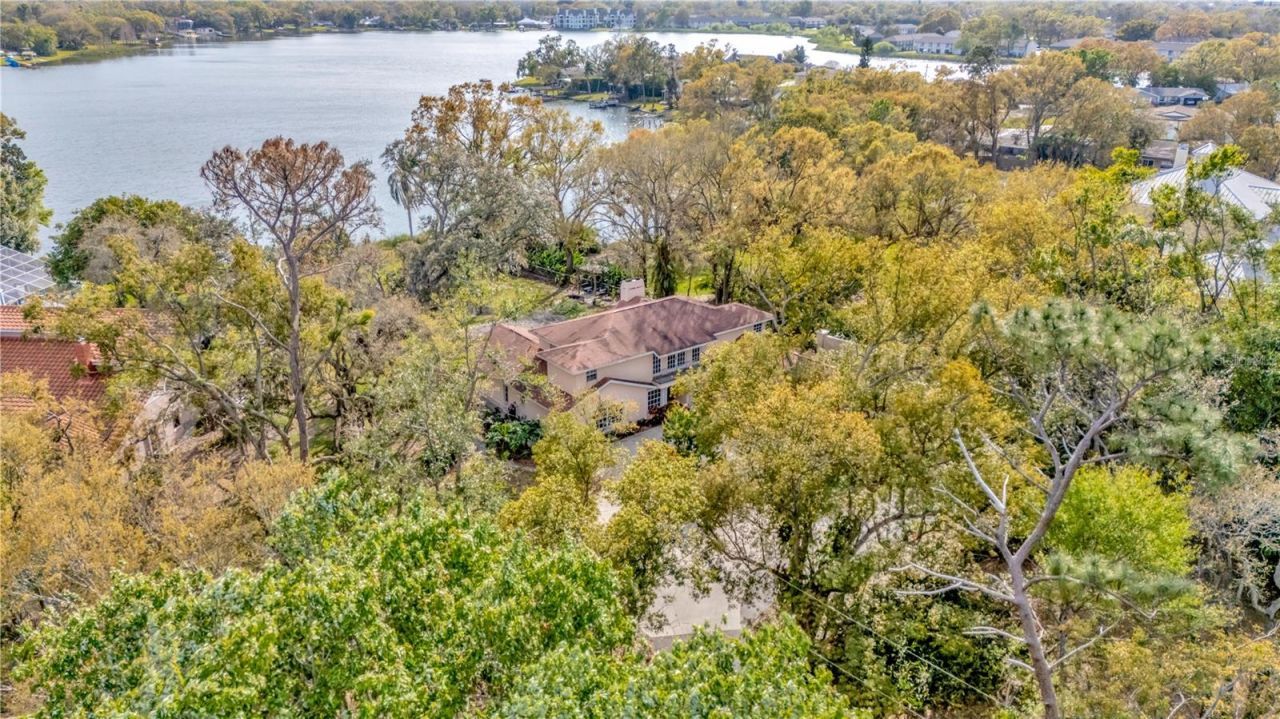 7201 Hodgewood Court, Tampa, FL 33614 Photo