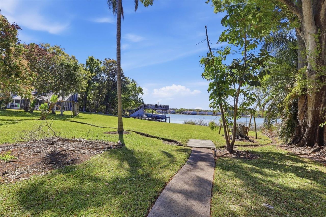 7201 Hodgewood Court, Tampa, FL 33614 Photo