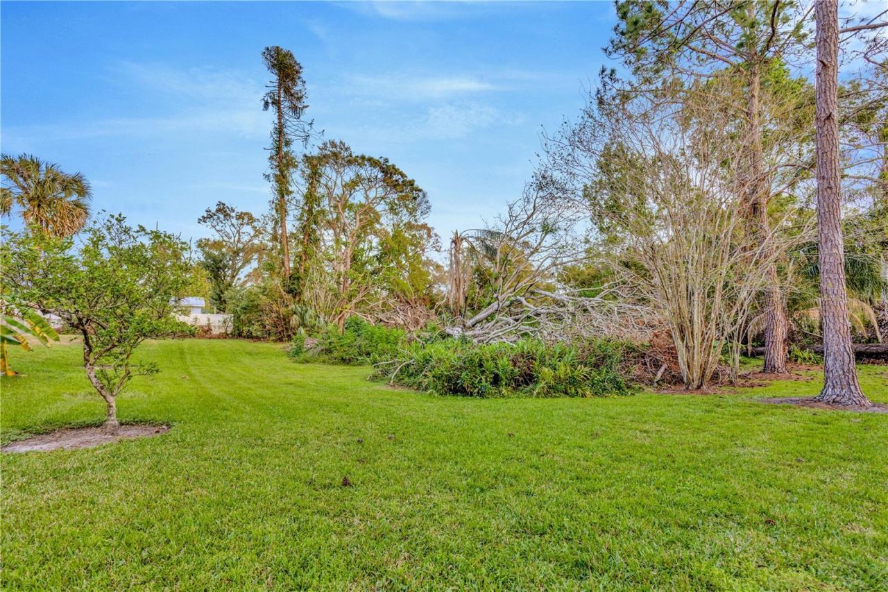 7201 Hodgewood Court, Tampa, FL 33614 Photo