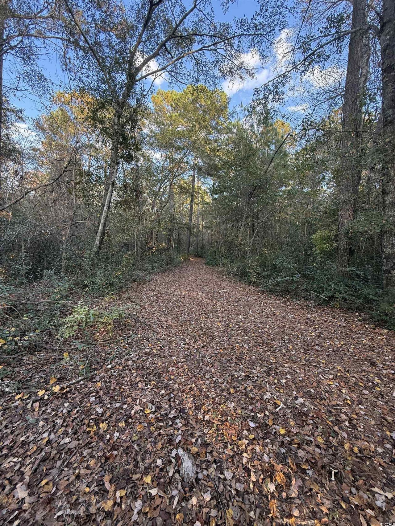 Tbd Salem Rd. Photo 12