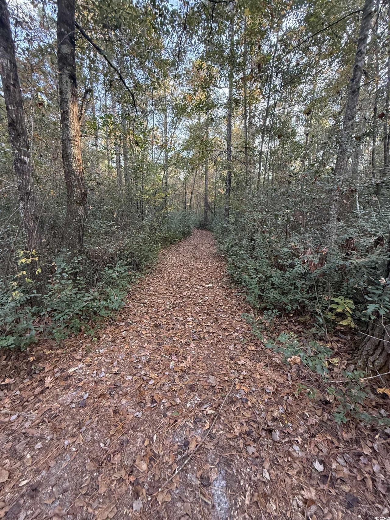 Tbd Salem Rd. Photo 13