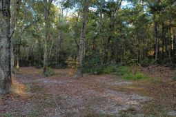 Tbd Salem Rd. photo 4