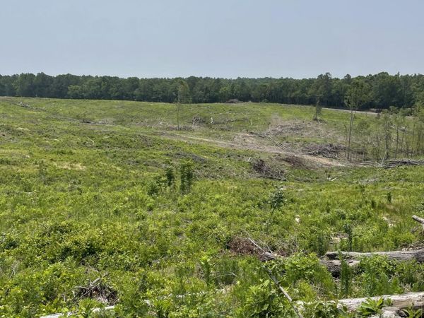 Hendrix/Pine Grove Road, Coffeeville, MS 38922