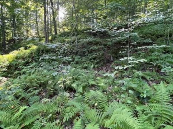 1 LAUREL RIDGE LANE, WILMIMGTON, DE 19807