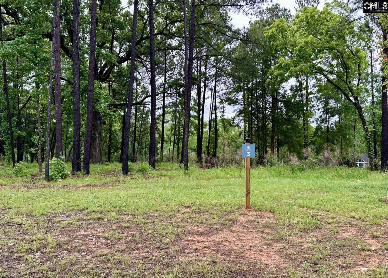 513 Misty Banks Drive Photo 12