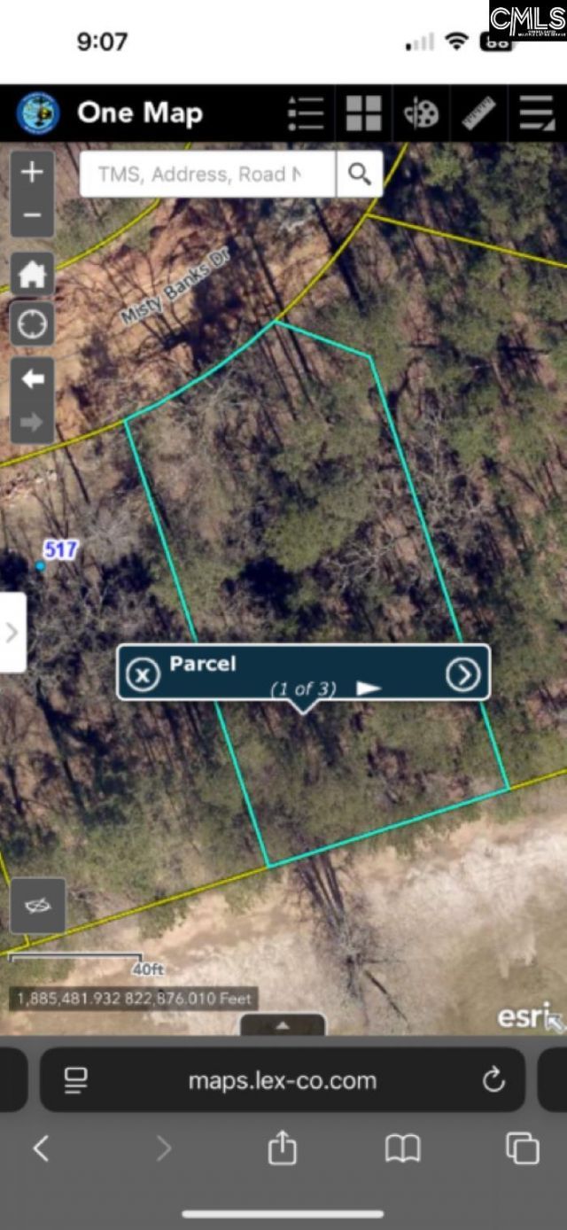 513 Misty Banks Drive Photo 18