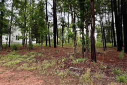 513 Misty Banks Drive photo 4