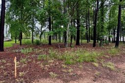 513 Misty Banks Drive photo 4