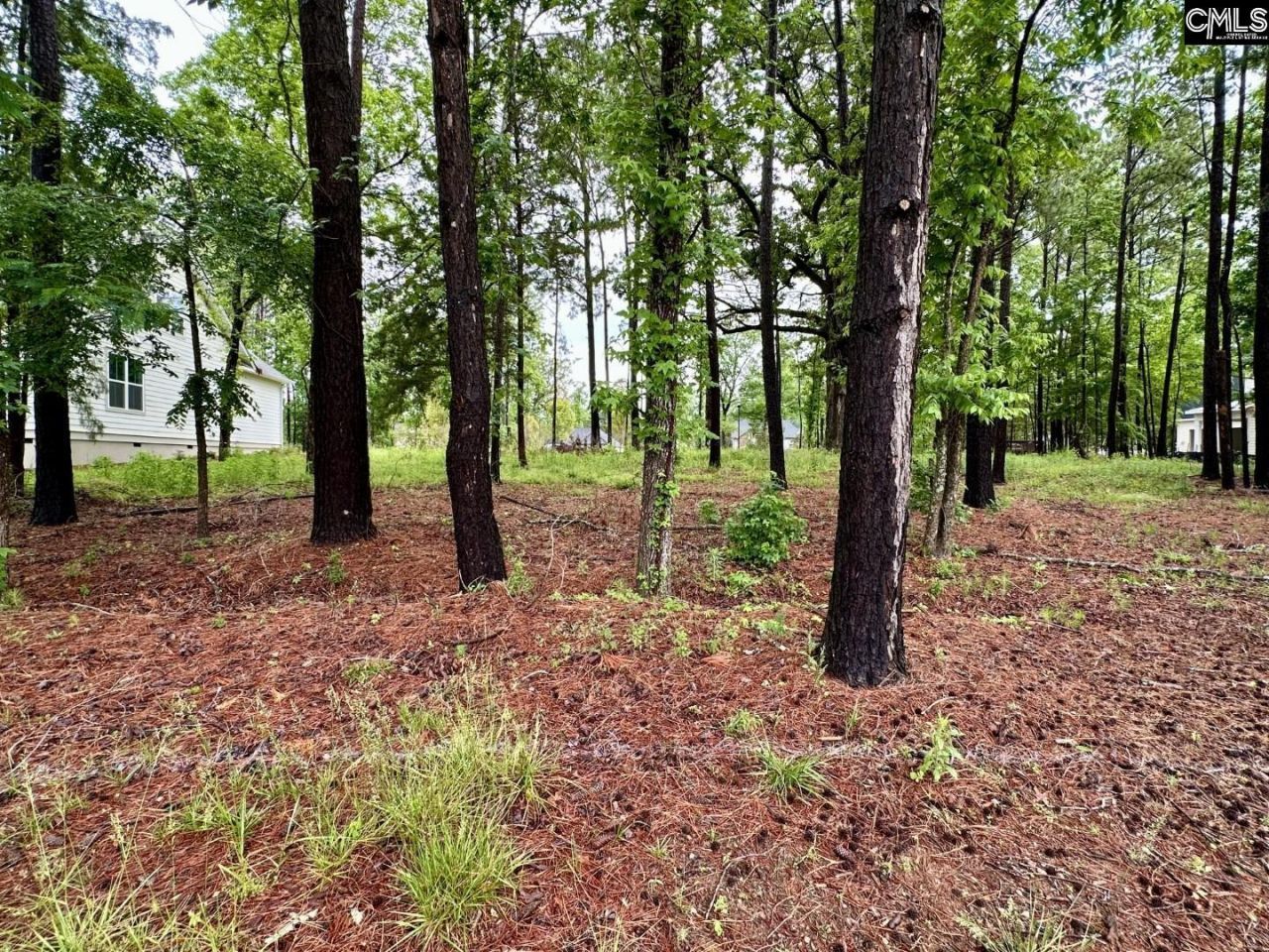 513 Misty Banks Drive Photo 4