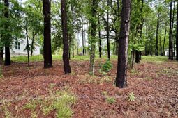 513 Misty Banks Drive photo 4