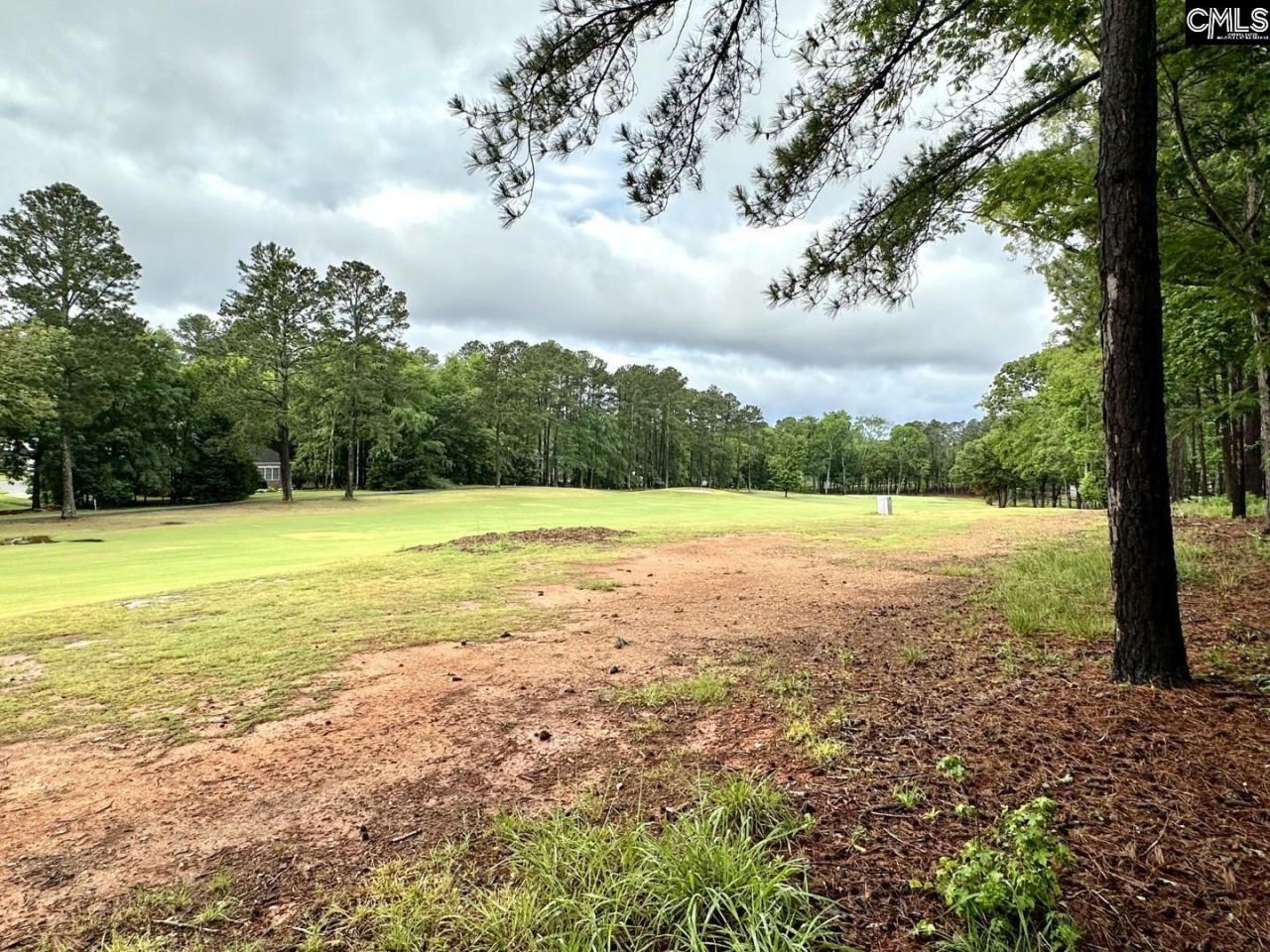 513 Misty Banks Drive Photo 6