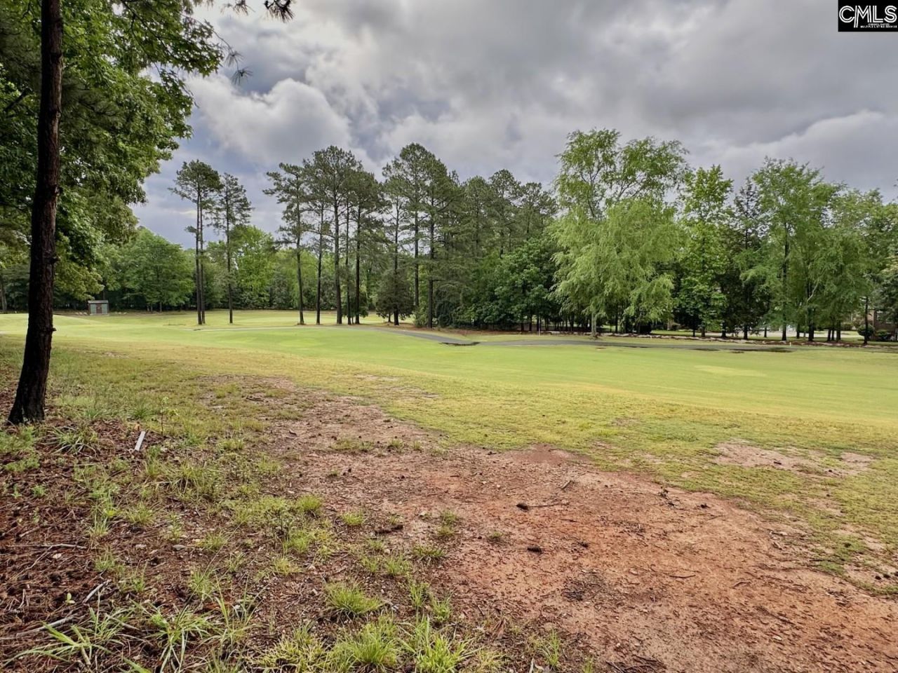 513 Misty Banks Drive Photo 7