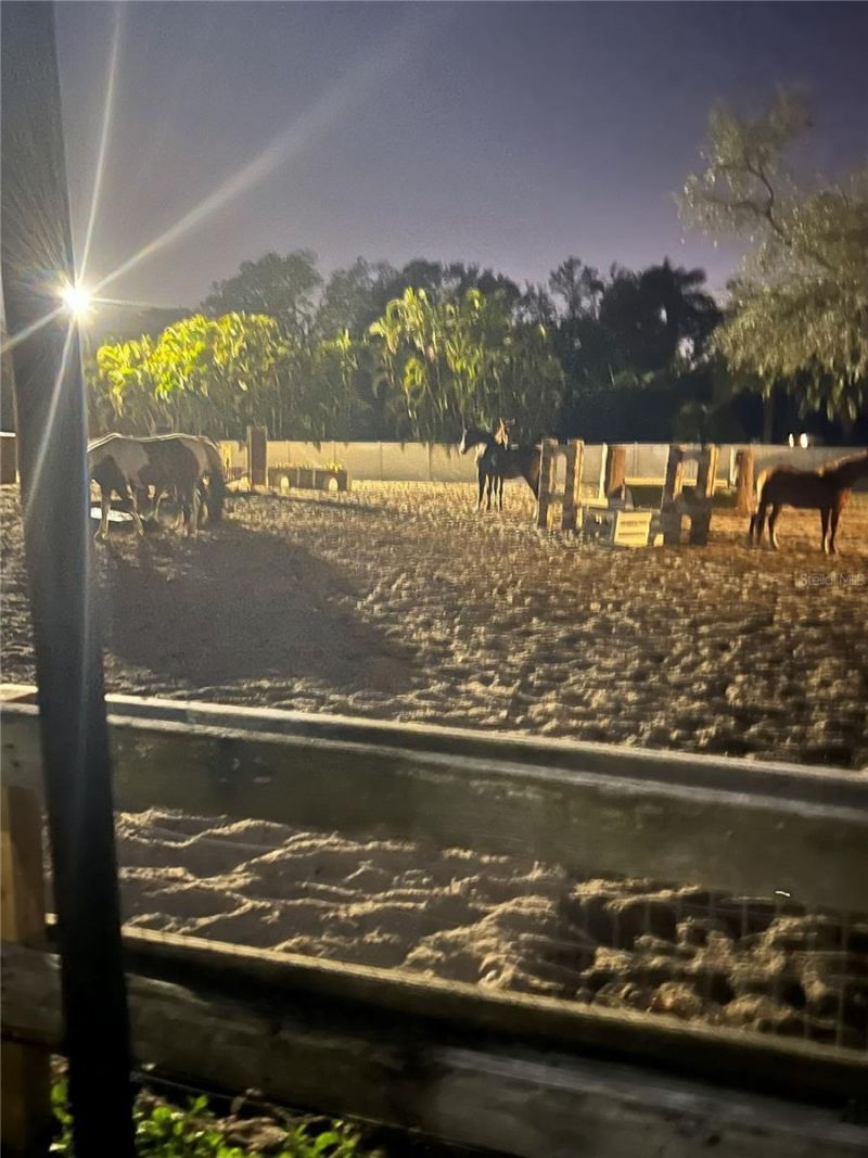 13010 114th Avenue N, Largo, FL 33774 Photo