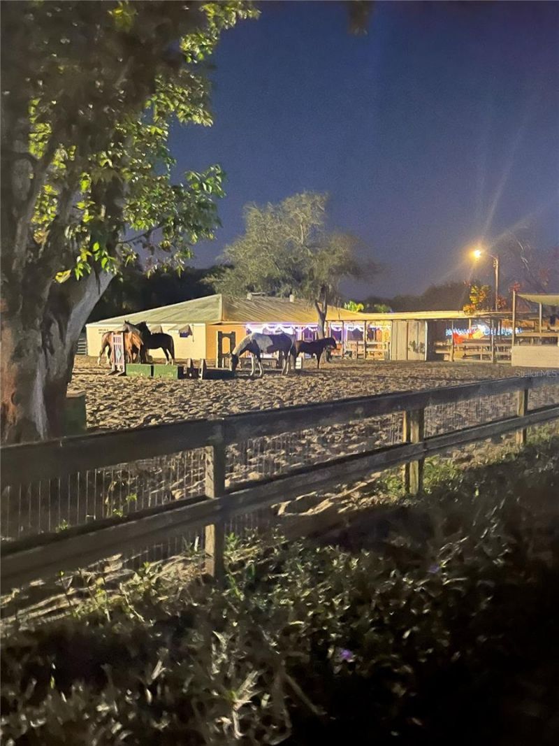 13010 114th Avenue N, Largo, FL 33774 Photo