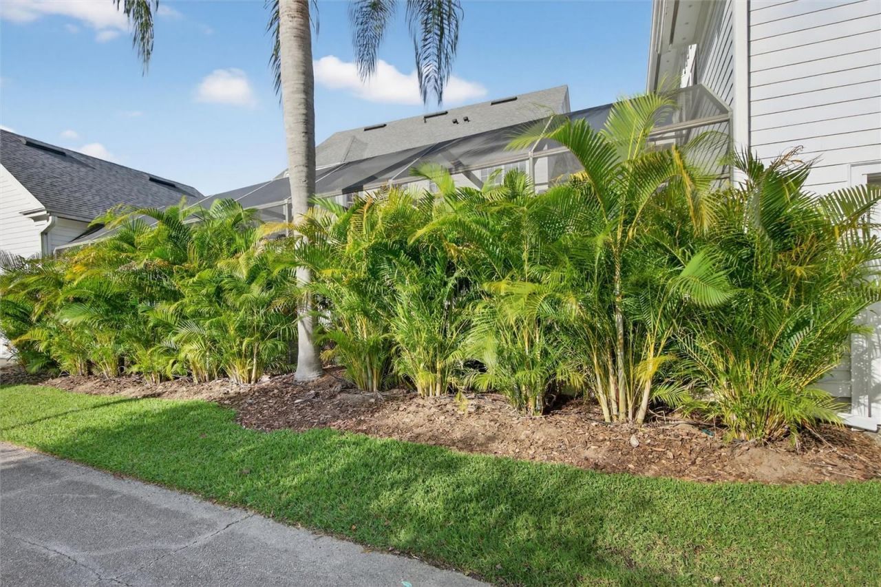 416 Arbor Circle, Celebration, FL 34747 Photo