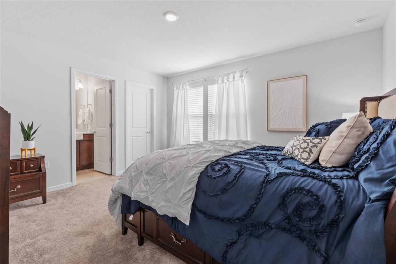 6248 Bradford Woods Dr, Zephyrhills, FL 33542 Photo